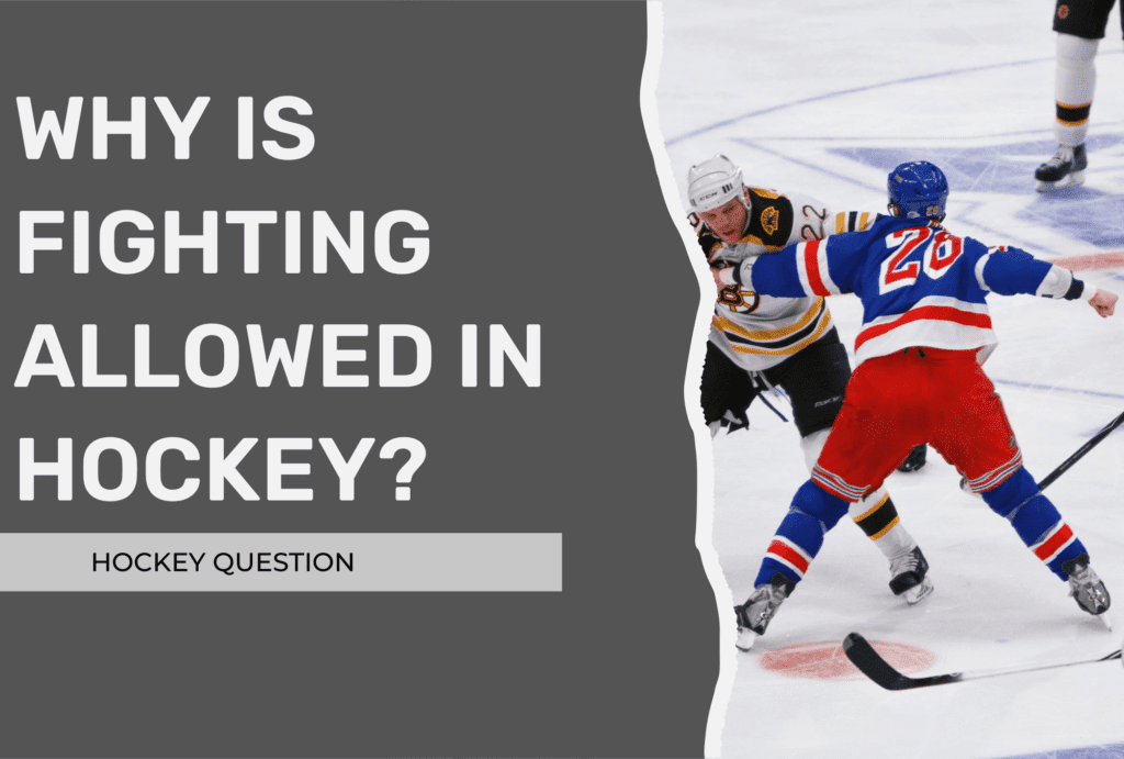 Why the NHL Needs Fighting