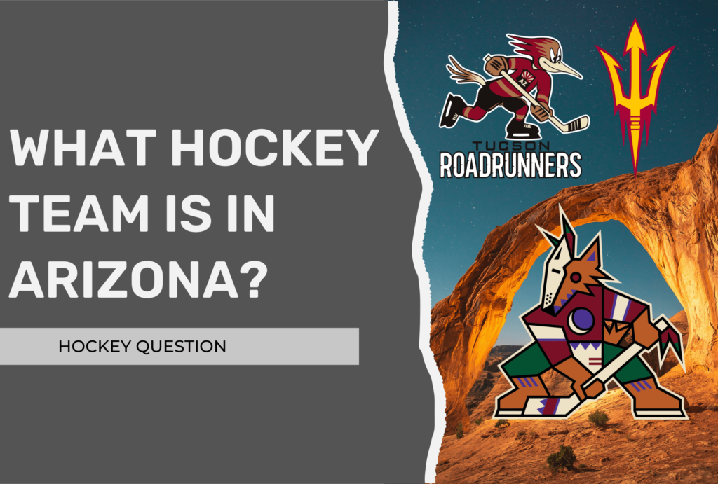 Here's what happened to Phoenix Roadrunners minor-league hockey