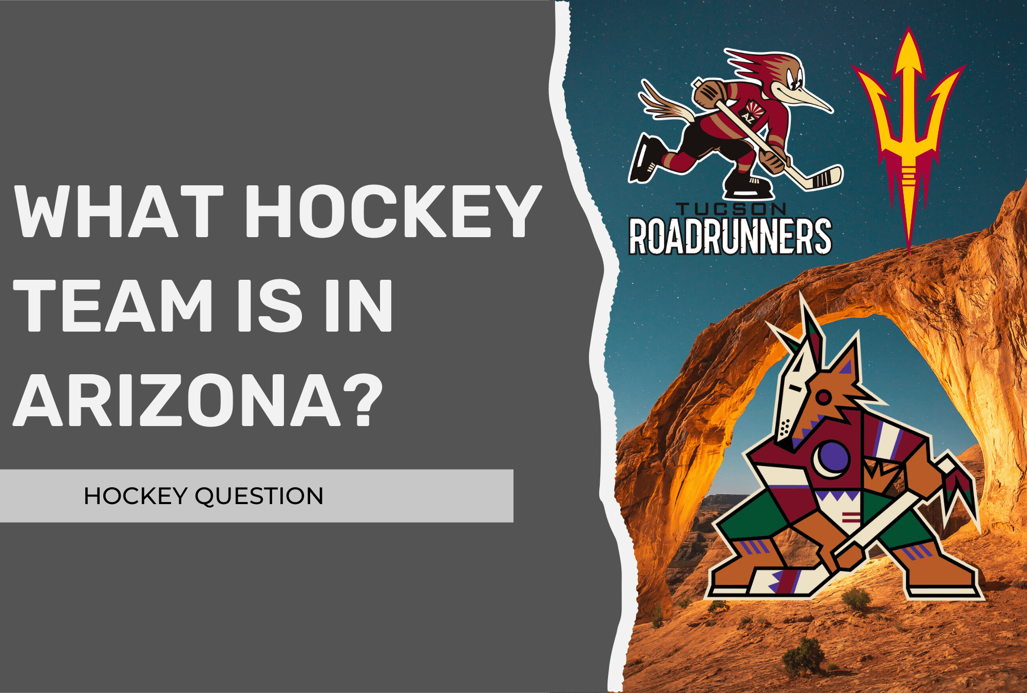 what-hockey-team-is-in-arizona-nhl-ahl-d1-hockey-hockey-question
