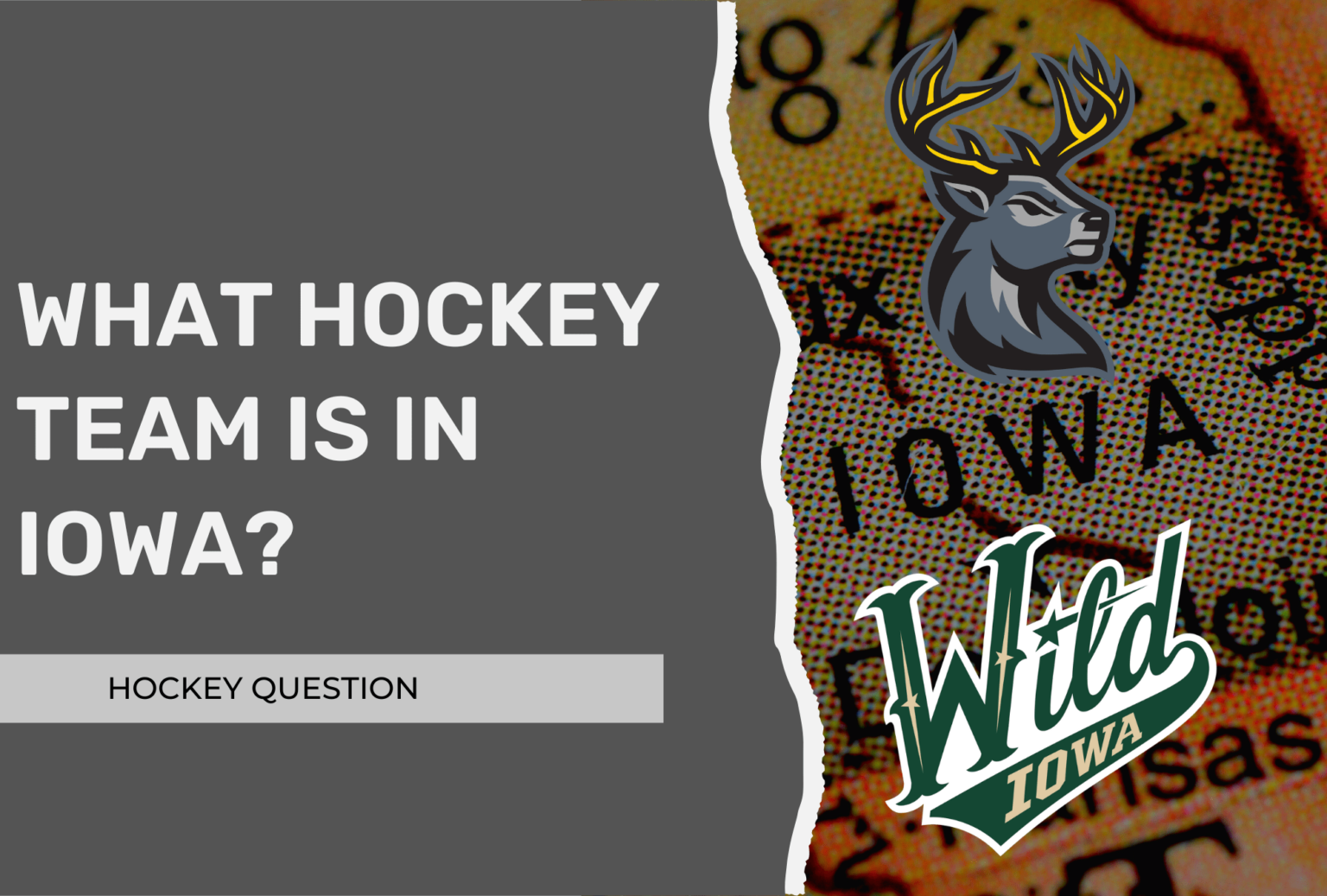 what-hockey-team-is-in-iowa-pro-d1-college-juniors-hockey-question