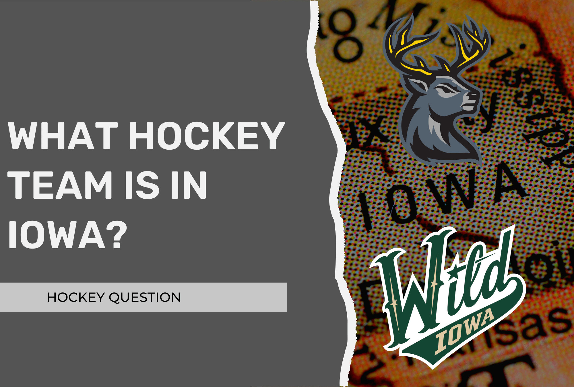 what-hockey-team-is-in-iowa-pro-d1-college-juniors-hockey-question