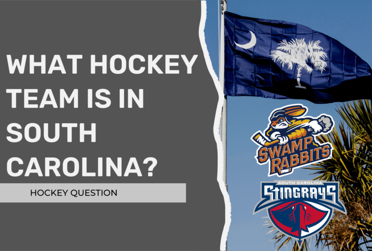 what-hockey-team-is-in-south-carolina-nhl-echl-juniors-college