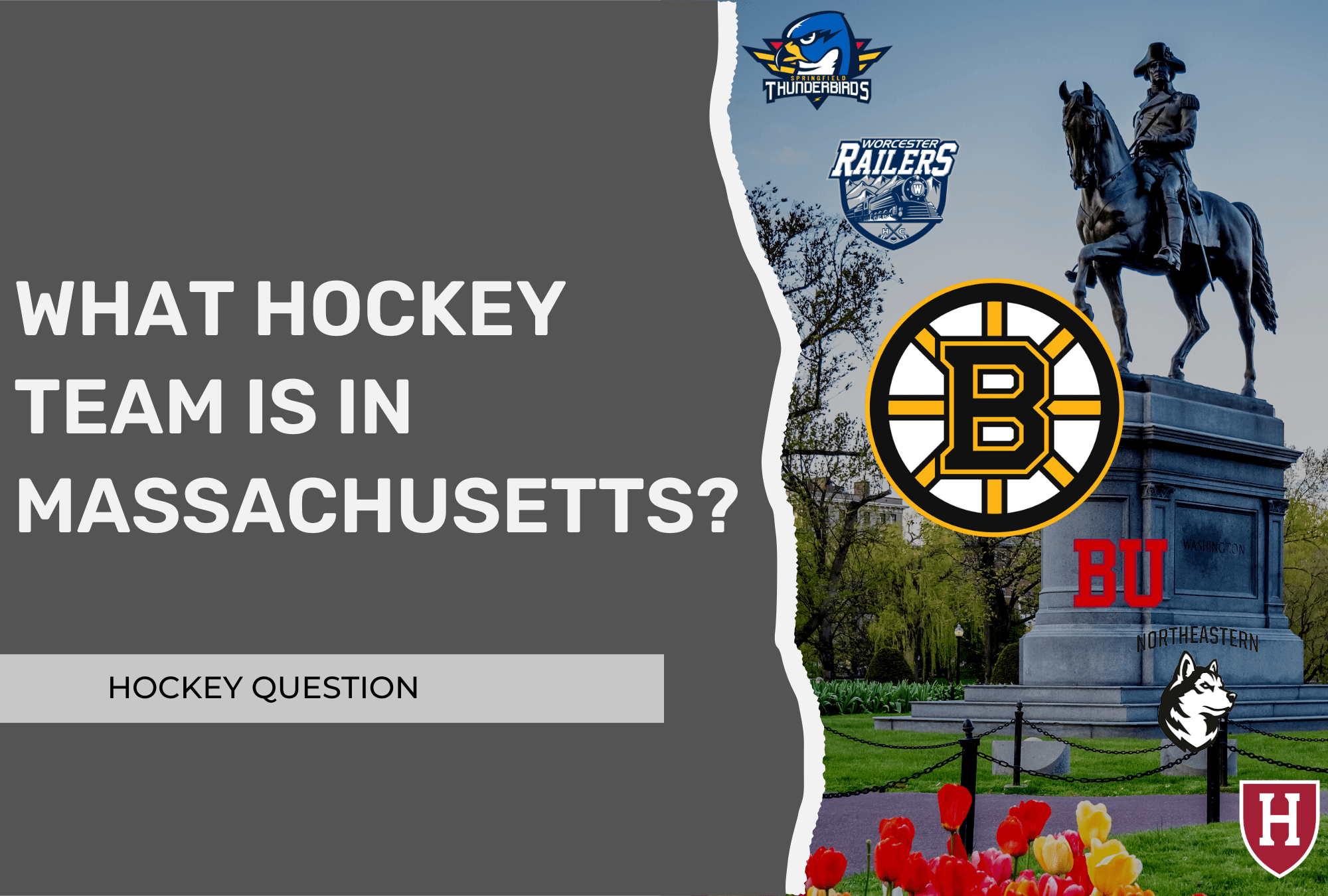 What Hockey Team Is In Massachusetts NHL AHL College Juniors what-hockey-team-is-in-massachusetts-nhl-ahl-college-juniors