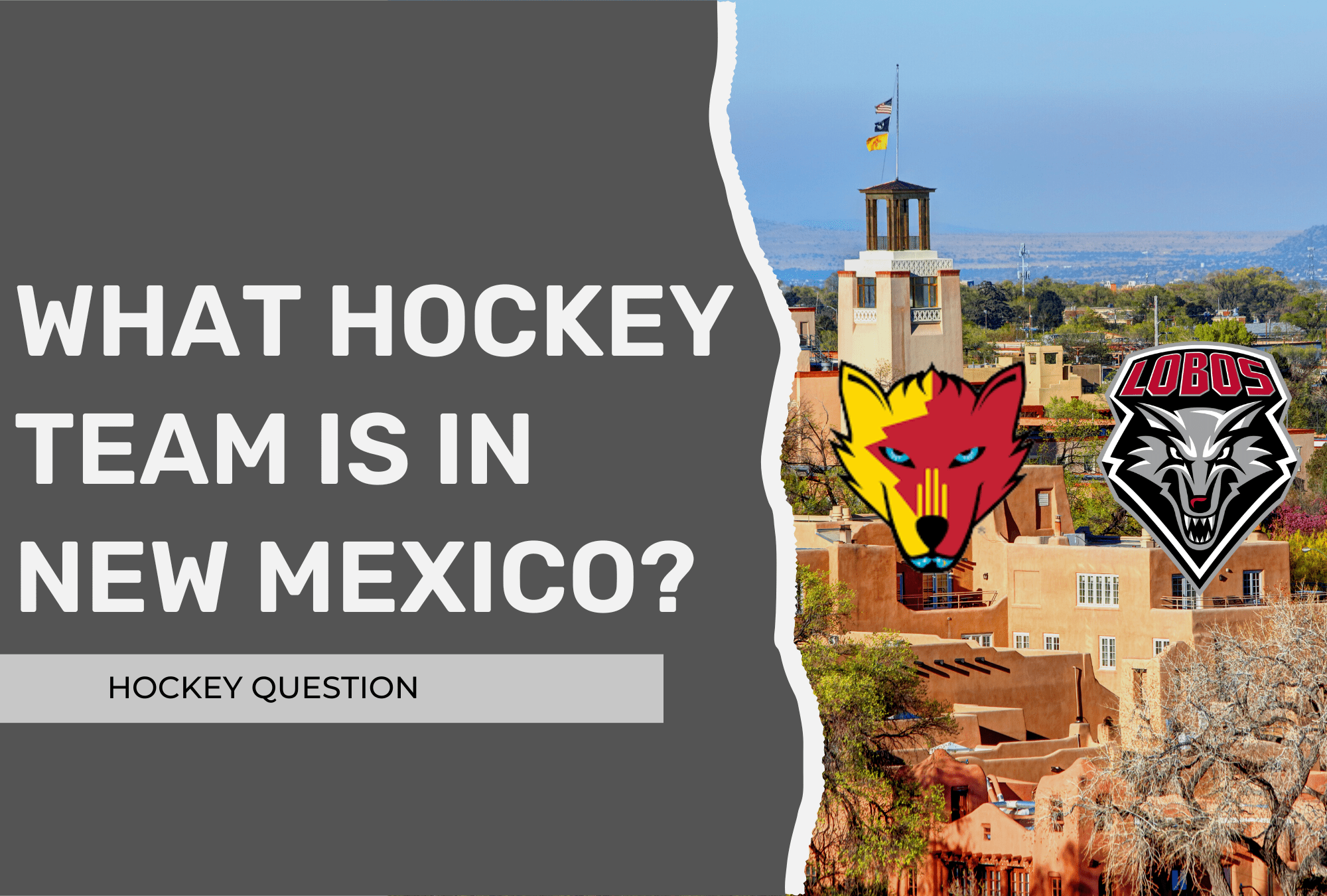 what-hockey-team-is-in-new-mexico-pro-college-juniors-hockey